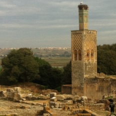 The Chellah-- ancient Roman ruins from the year 40 AD